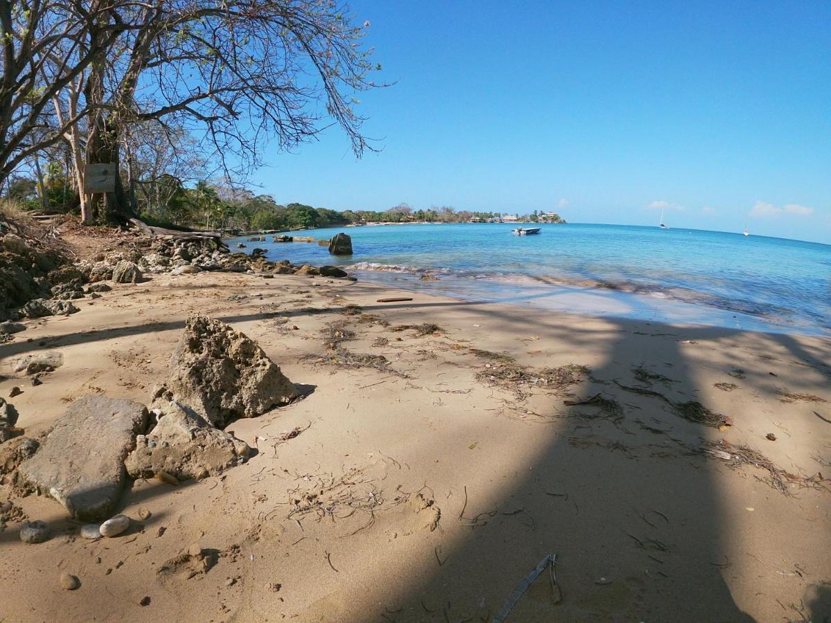 Private Beach House Maloka Surf Puerto Limon Eksteriør billede