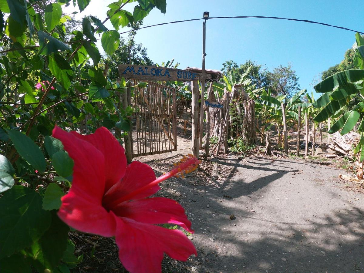 Private Beach House Maloka Surf Puerto Limon Eksteriør billede